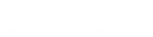 safaeewala cleaning and technical services llc