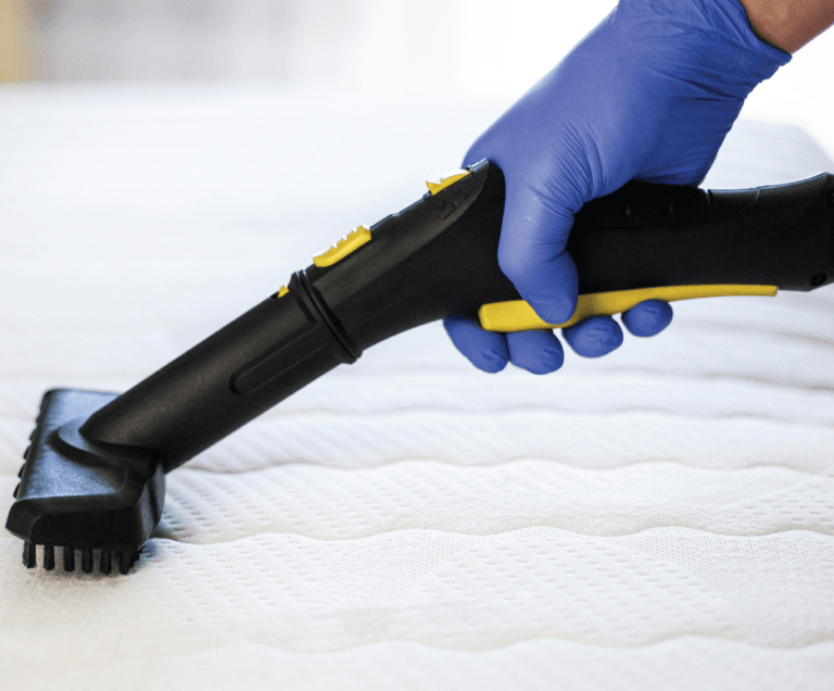 mattress cleaning services