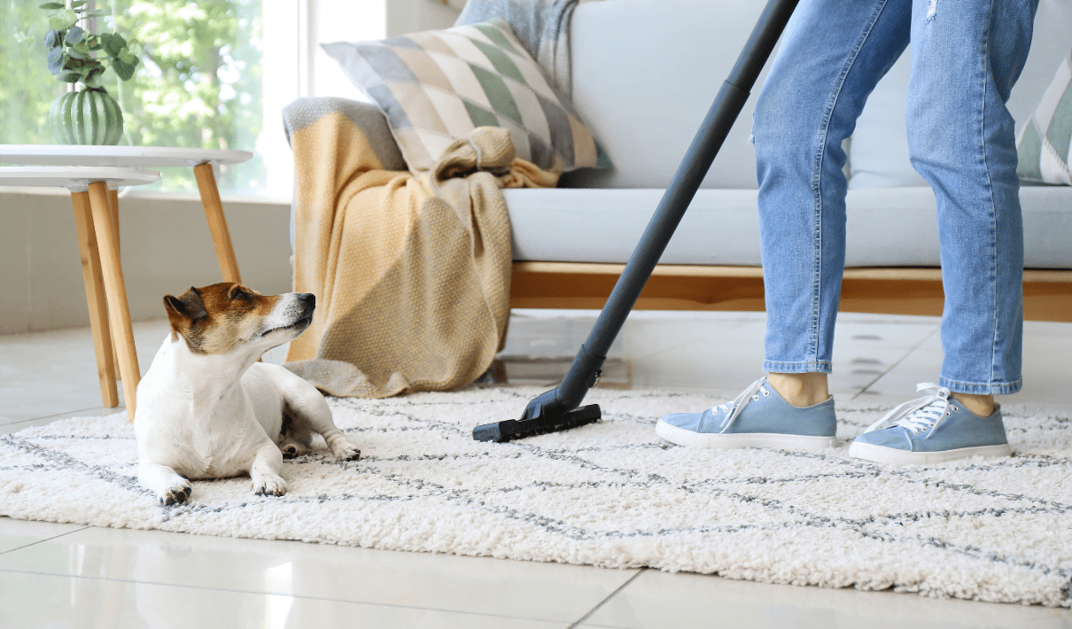 Carpet Cleaning in Dubai