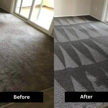 Carpet Cleaning Dubai