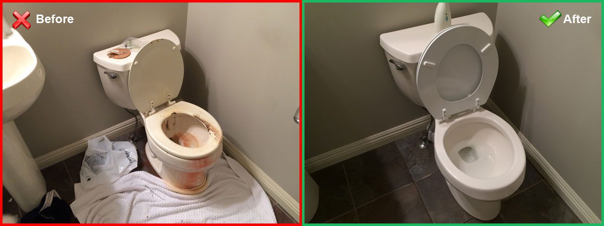 Before and After Toilet Bowl