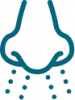 mattress cleaning service