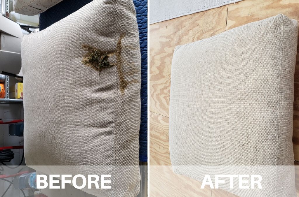 couch cleaning services