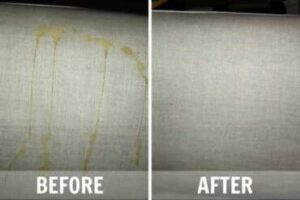 upholstery cleaning services in dubai